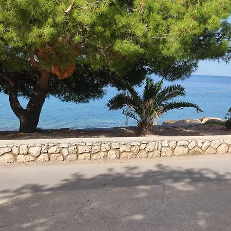 Dolphin View With A Pool By The Apartamento *