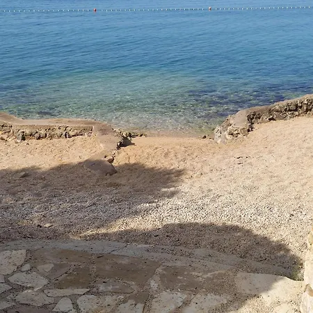 Dolphin View With A Pool By The *