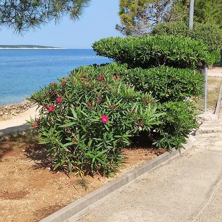 Dolphin View With A Pool By The * Mandre