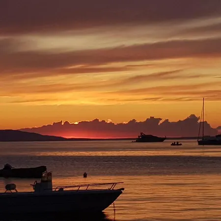 Daire Dolphin View With A Pool By The