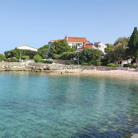 Dolphin View With A Pool By The