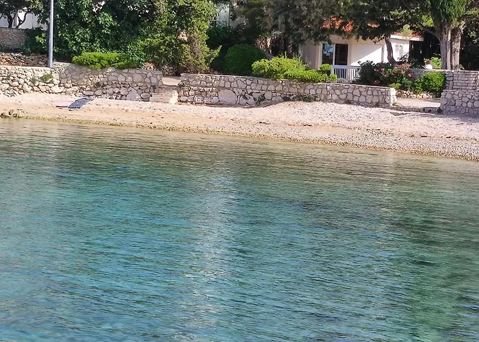 Dolphin View With A Pool By The *