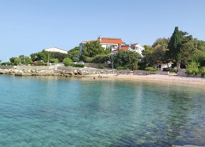 Dolphin View With A Pool By The