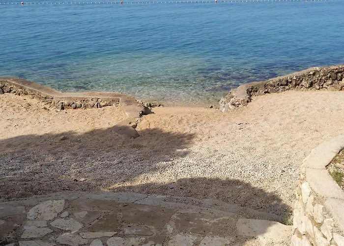 Dolphin View With A Pool By The *