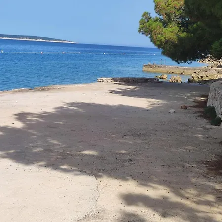 Dolphin View With A Pool By The *