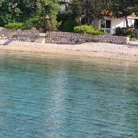 Dolphin View With A Pool By The *