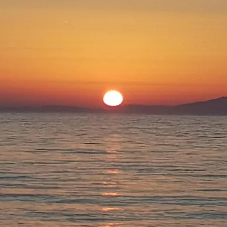 公寓 Dolphin View With A Pool By The 曼德雷