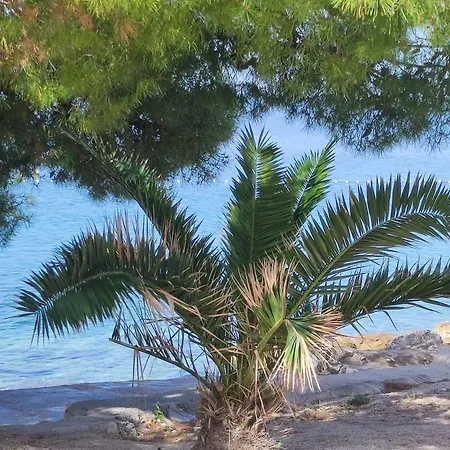 Dolphin View With A Pool By The 曼德雷