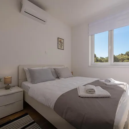 Dolphin View With A Pool By The Appartement