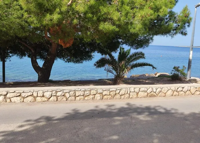 Dolphin View With A Pool By The Appartement *