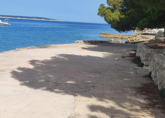 Dolphin View With A Pool By The *