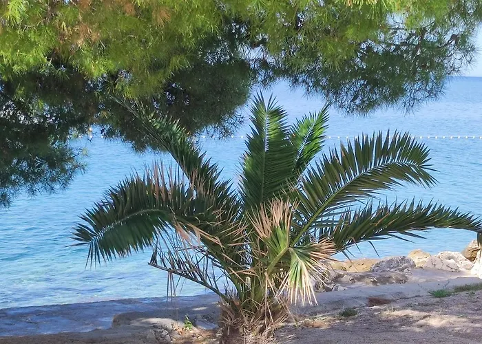 Dolphin View With A Pool By The Mandre